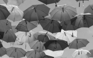 “You were able to brilliantly develop the theme of the course in workshop and in-depth sessions, always intense but very stimulating”