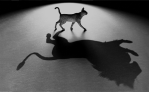 Stefan im Schattenspringer-Podcast bei Gaby Graupner