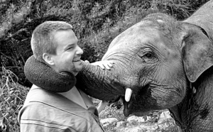 Why Stefan is the best choice