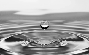 Decision Insights Session