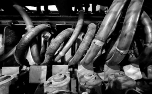 Boosting Skills, Motivation, and Productivity for Lasting Success