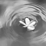 Finding Balance in a World of Pressure