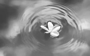 Finding Balance in a World of Pressure