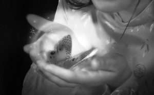 The Future Me: Envisioning Your Ideal Self