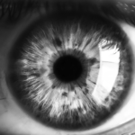 “Who Am I?” – a powerful Exercise by Dick Bolles