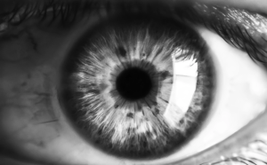 “Who Am I?” – a powerful Exercise by Dick Bolles