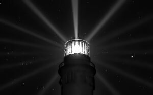 Why People Choose to Follow